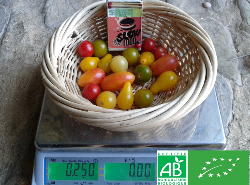 LES JARDINS DE KARINE - Tomates cerises en mélange - 250g