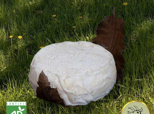 Fromagerie des Gors - Mothais sur feuille BIO
