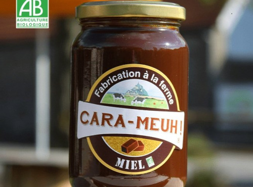 La Ferme des Cara-Meuh - Crème de caramel miel BIO – pot 420g