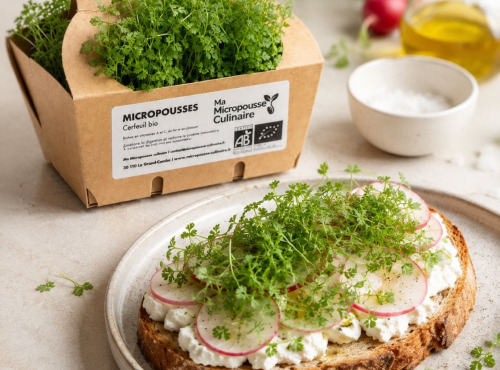 Ma Micropousse culinaire - Micro-pousses de cerfeuil bio – 16 barquettes