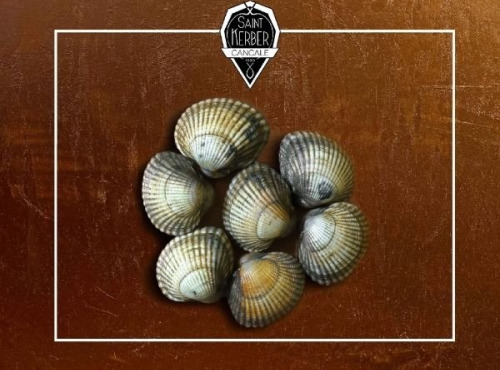 Saint Kerber - Coques - 3 Kg 