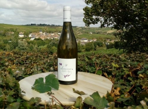 Domaine Doudeau-Leger - Sancerre Blanc AOC 2023 - 1 Bouteille