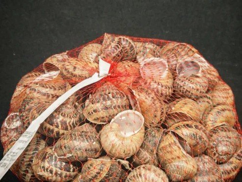 Boucherie Puig - Lot de 2 filets de 100 escargots