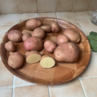 Ferme Cadillon - Pommes de terre - HVE - Yona -10 Kg