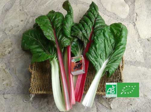 LES JARDINS DE KARINE - Blette entière 500g- 2 personnes
