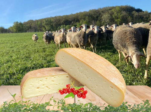 Dessine moi une brebis - Brebichon de brebis 200g