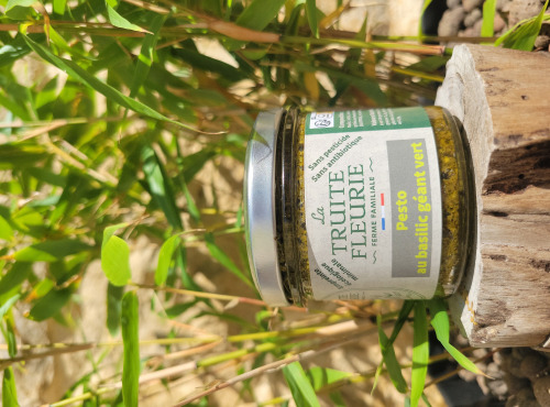 La Truite Fleurie - Pesto au basilic géant vert