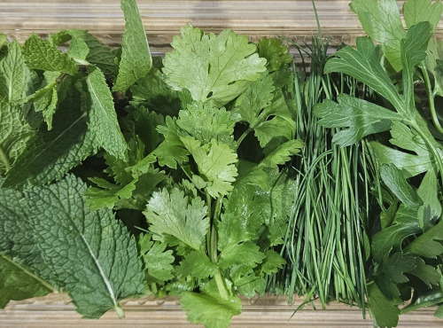 Midiflore - Aromates fraiches pour Salades & Crudités 40g