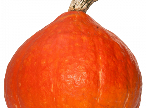 Le Châtaignier - Potimarron +2kg