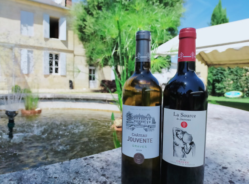 Château Jouvente - Découverte AOC Graves : le Rouge et le Blanc emblématique de Jouvente