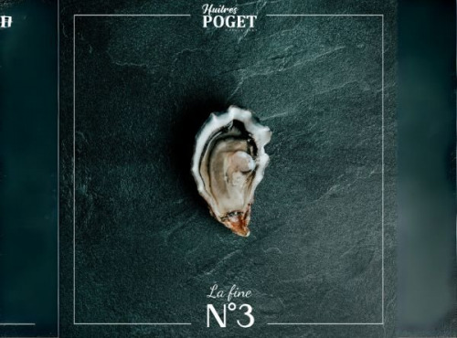 Huîtres Poget - Huîtres La Fine du Galon d'Or n°3 x24