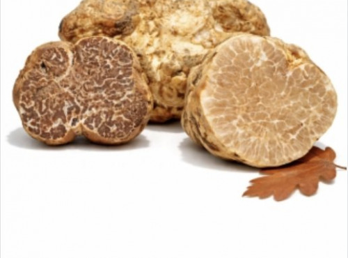 Truffes des Roches - Truffe Blanche Borchii (Italie) 50g