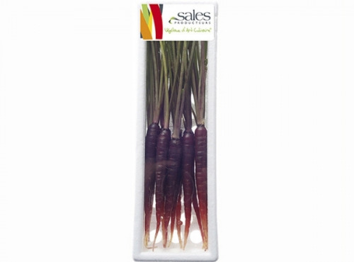 Maison Sales - Végétaux d'Art Culinaire - -2- Mini Carotte Pourpre - 12 Pcs Minimum