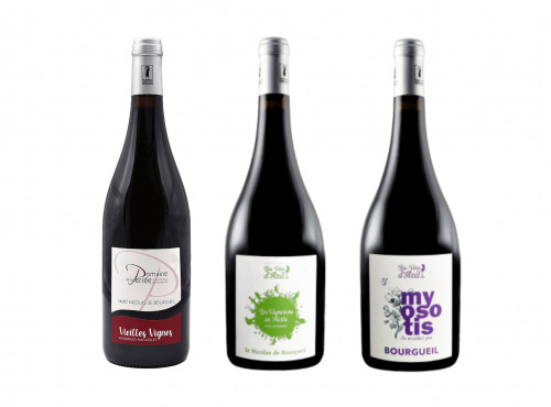 Domaine de la Perrée - AOC Saint Nicolas de Bourgueil & Bourgueil - Coffret Reflets Rouges 3 Bouteilles