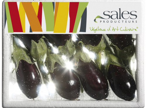 Maison Sales - Végétaux d'Art Culinaire - 12- Mini Aubergine - 8 Pièces