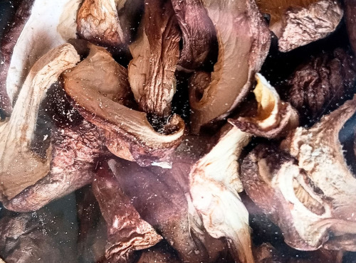 Elevage de Cochons en Forêt et Produits du Terroir Jurassien - Champignons Shiitaké bio déshydratés