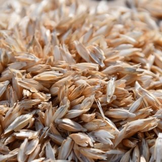 Adal Terra - Balles De Petit Epeautre Bio Dépoussiérées 300KG