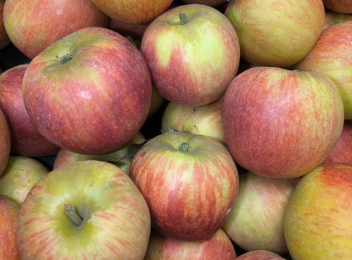 Ferme Joos - Pommes Alkemène de Wylder