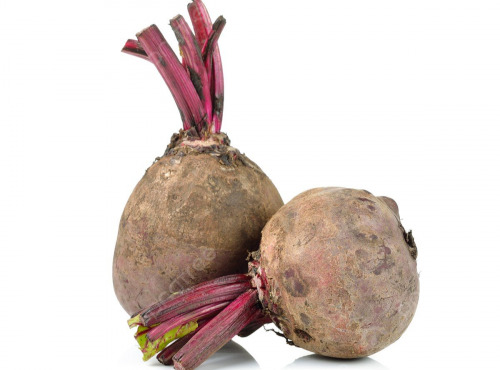 Nature et Saveurs - Ferme Aquaponique et Permacole Astérienne - Betterave rouge – intensité, structure et tenue culinaire