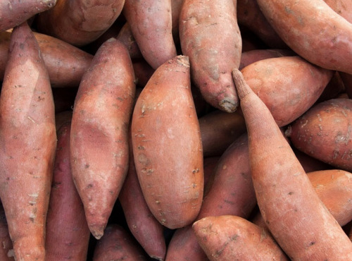 Maréchal Fraicheur - Patate douce - 1 kg