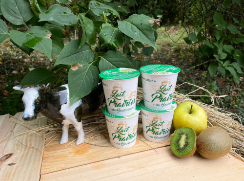 Lait Prairies du Boulonnais - Yaourt fermier brassé à la pomme et kiwi x4