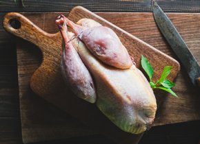 Terre de Gallie - Faisan entier prêt à cuire +  un livre "Cuisiner du  Gibier" offert par commande