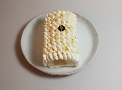 GT Designer Glacier - Bûche Vacherin Exotique