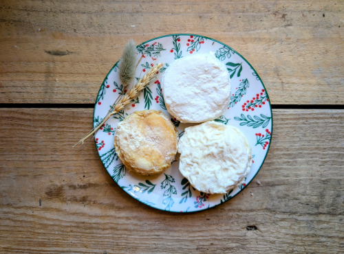 La ferme du Mourian - Trio de chèvre x3