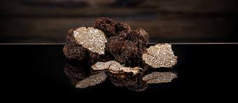 ALENA la Truffe d'Aquitaine - (OFFRE PRO) 600g truffes entières