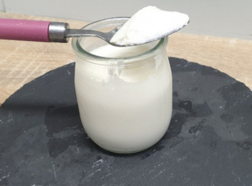 Ferme de l'Elanion - Yaourt Nature 125g