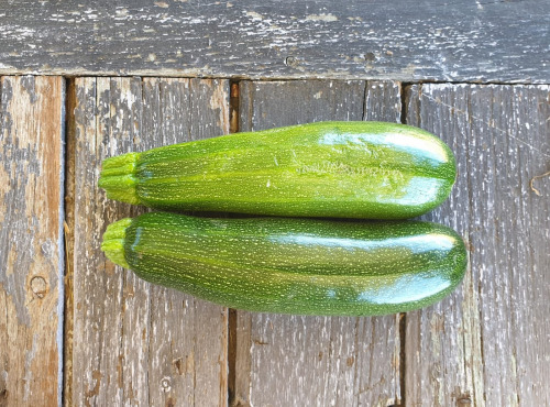 La Ferme de Milly - Anjou - Courgette verte de Milan bio - 1kg