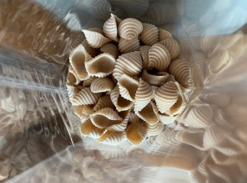 Adal Terra - Coquillage Épeautre Bio 1 Kg Vrac