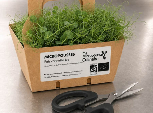 Ma Micropousse culinaire - Micro-pousses Bio – Assortiment au choix – 8 barquettes
