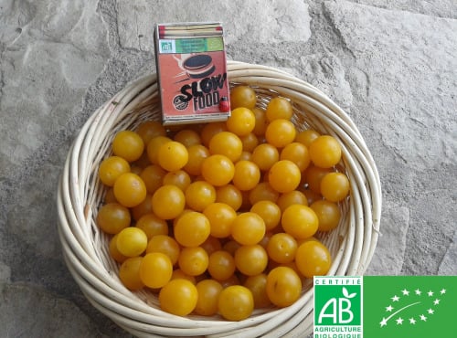 LES JARDINS DE KARINE - Prune Myrobolan jaune surgelée avec noyau - 1kg