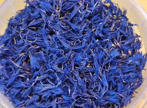 Les Jardins du Mas de Greil - Bleuet Pétales Séchés