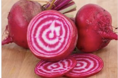 Ferme Sinsac - Betteraves Chioggia