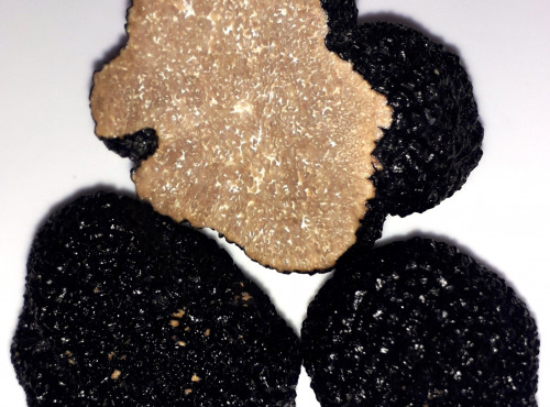 Ferme de Pourcier - Truffe Fraîche - Truffe d'été 100g