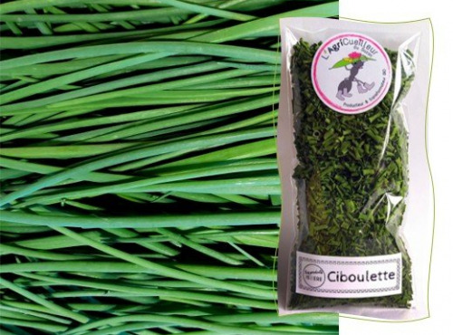L'Agricueilleur du Suzon - Ciboulette Bio