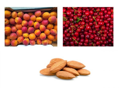 Vergers des brunots - Panier de fruits - Entreprise