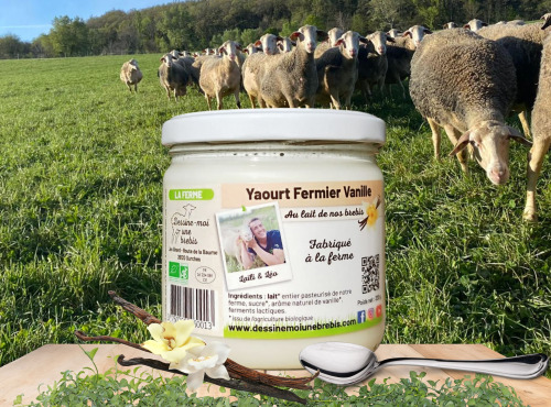Dessine moi une brebis - Yaourt Brebis Vanille 320g