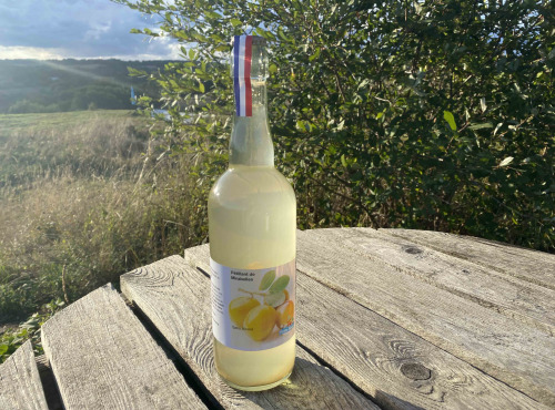 Ferme Sinsac - petillant de Mirabelles sans alcool 75 cl