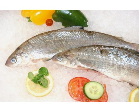 Ma poissonnière - Fera Du Lac - 2 Pièces De 400 G