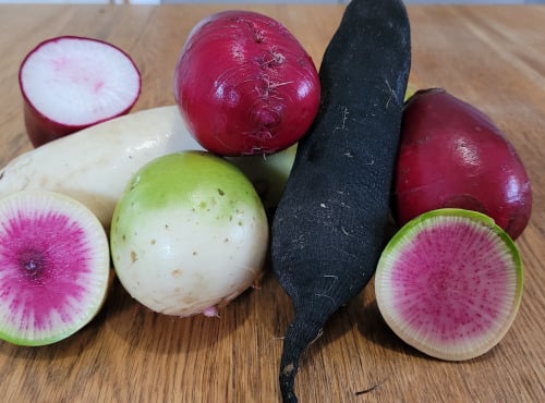 Le Pré de la Rivière - Radis d'hiver : Daikon, Rose de chine, Noir - Pack 4kg