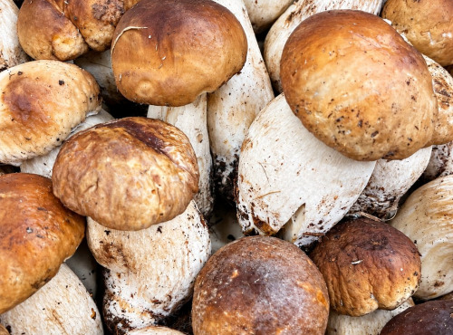Naturélium - Cèpes – Cueillette sauvage en France, chair blanche et ferme, 250 g à 3 kg