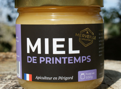 Merveille Apiculture - Miel de printemps crémeux