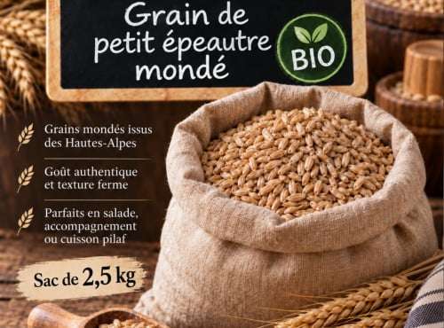 L'OLIVERAIE DU COUDON - [Précommande] GRAIN DE PETIT EPEAUTRE MONDÉ BIO – Hautes-Alpes – Sac de 2,5 kg