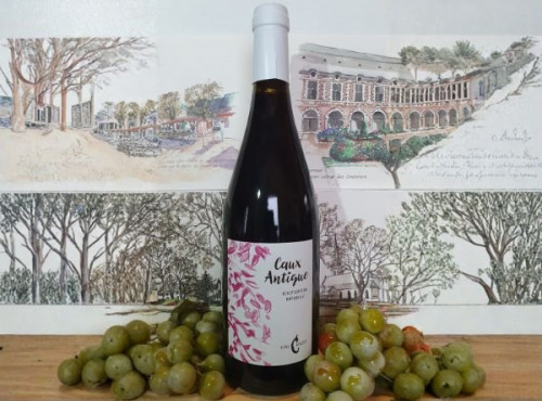 Cave Creuzet - Les Caves aux Caux - VSIG Rouge "Caux Antique" - Sans additif - Sans sulfites ajoutés