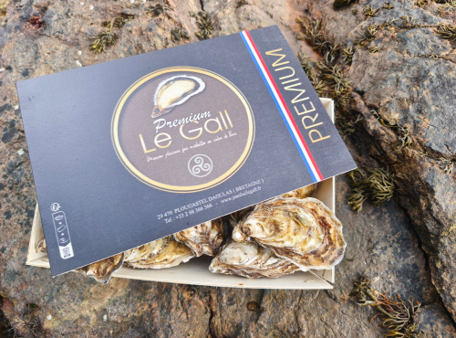 Jean Luc Le Gall Huîtres et Coquillages - Huitres Creuses Premium N2 X 24 pièces