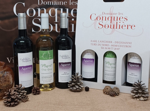 Domaine Les Conques Soulière - COFFRET D'AUTOMNE