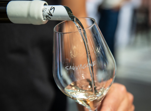 Domaine Sauvagine - Sauvagine Blanc - Vin Bio & cépage résistant